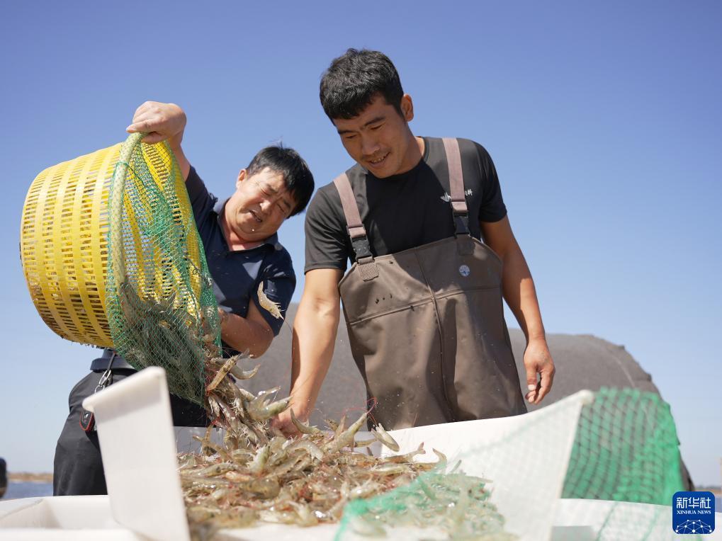 捕鱼达人游戏机说明书